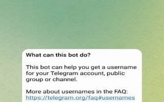Menentukan Nama Dan Username Bot