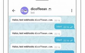 Menerapkan Webhook Pada Bot Telegram