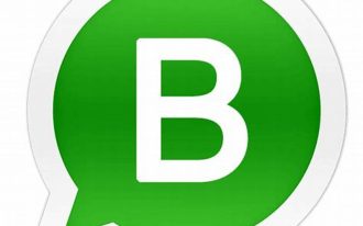 Logo Whatsapp Business