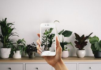 8 aplikasi terbaik untuk mengidentifikasi tanaman dan bunga di iPhone