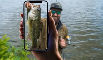 Aplikasi terbaik untuk mengidentifikasi ikan dan makhluk laut dari iPhone