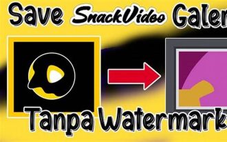 Snack Video Watermark
