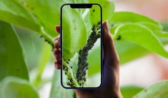 Aplikasi untuk mendeteksi penyakit dan hama pada tanaman dari iPhone